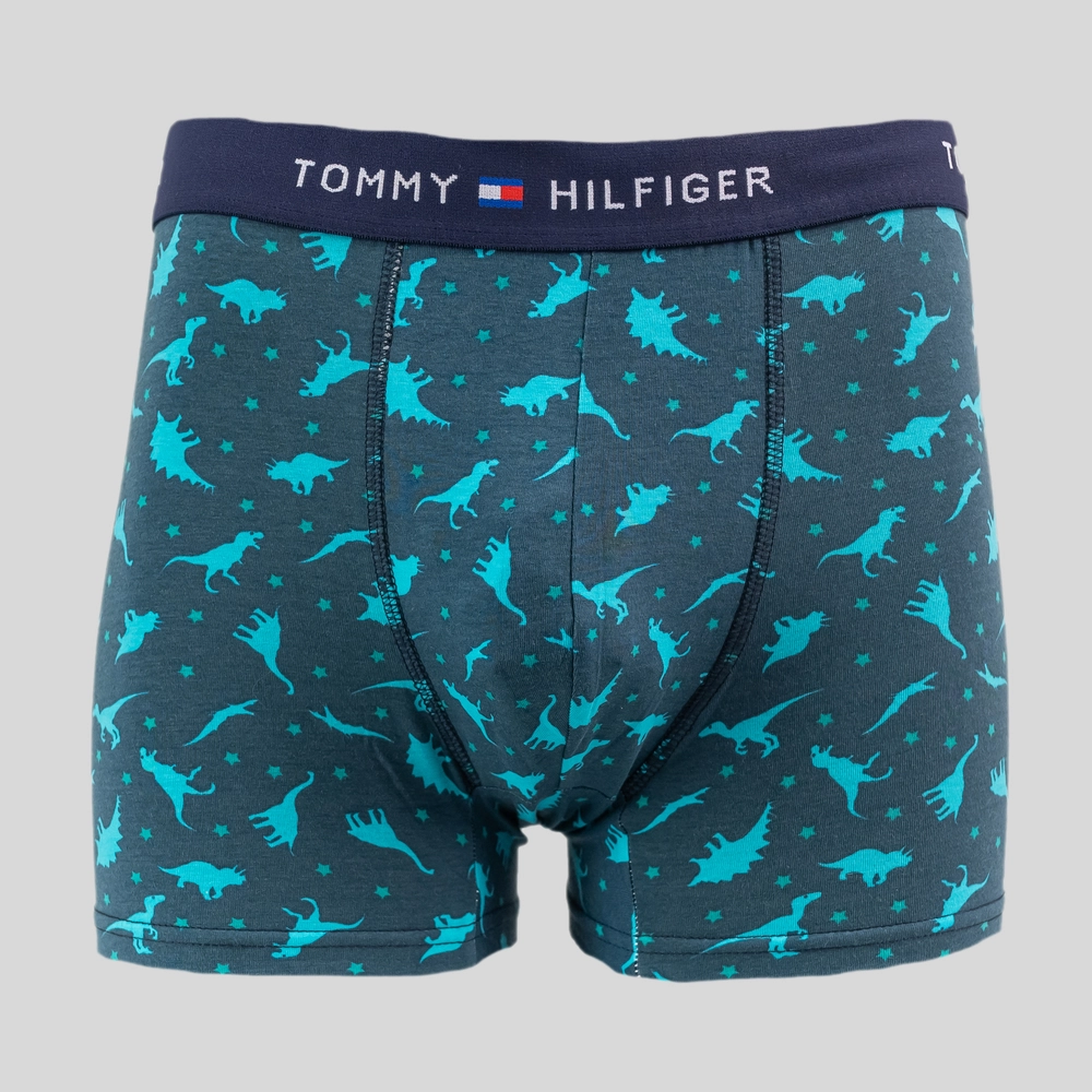 Чоловічі боксери TOMMY HILFIGER