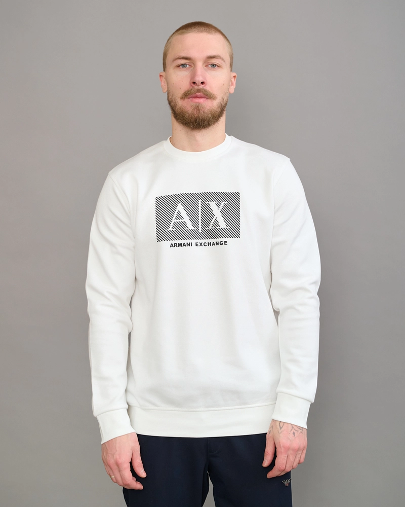 Толстовка AR