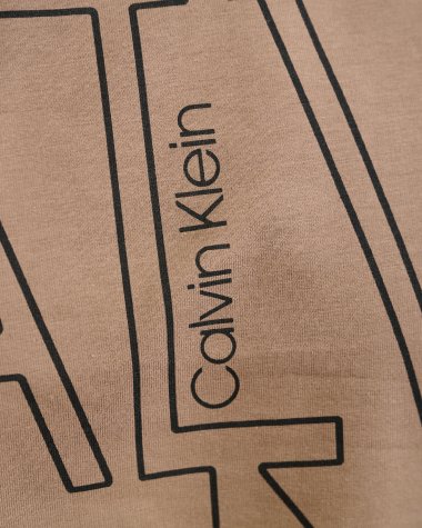 Толстовка CK 9930