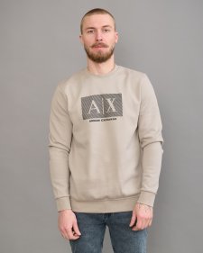 Толстовка AR