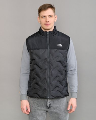 Жилет демисезонный TNF 9962