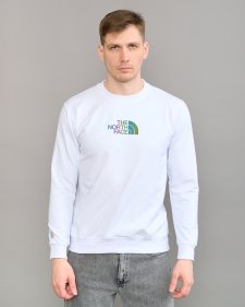 Толстовка TNF